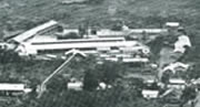 帝国人造絹糸・米沢工場 山形大学工学部 目で見る80年史より